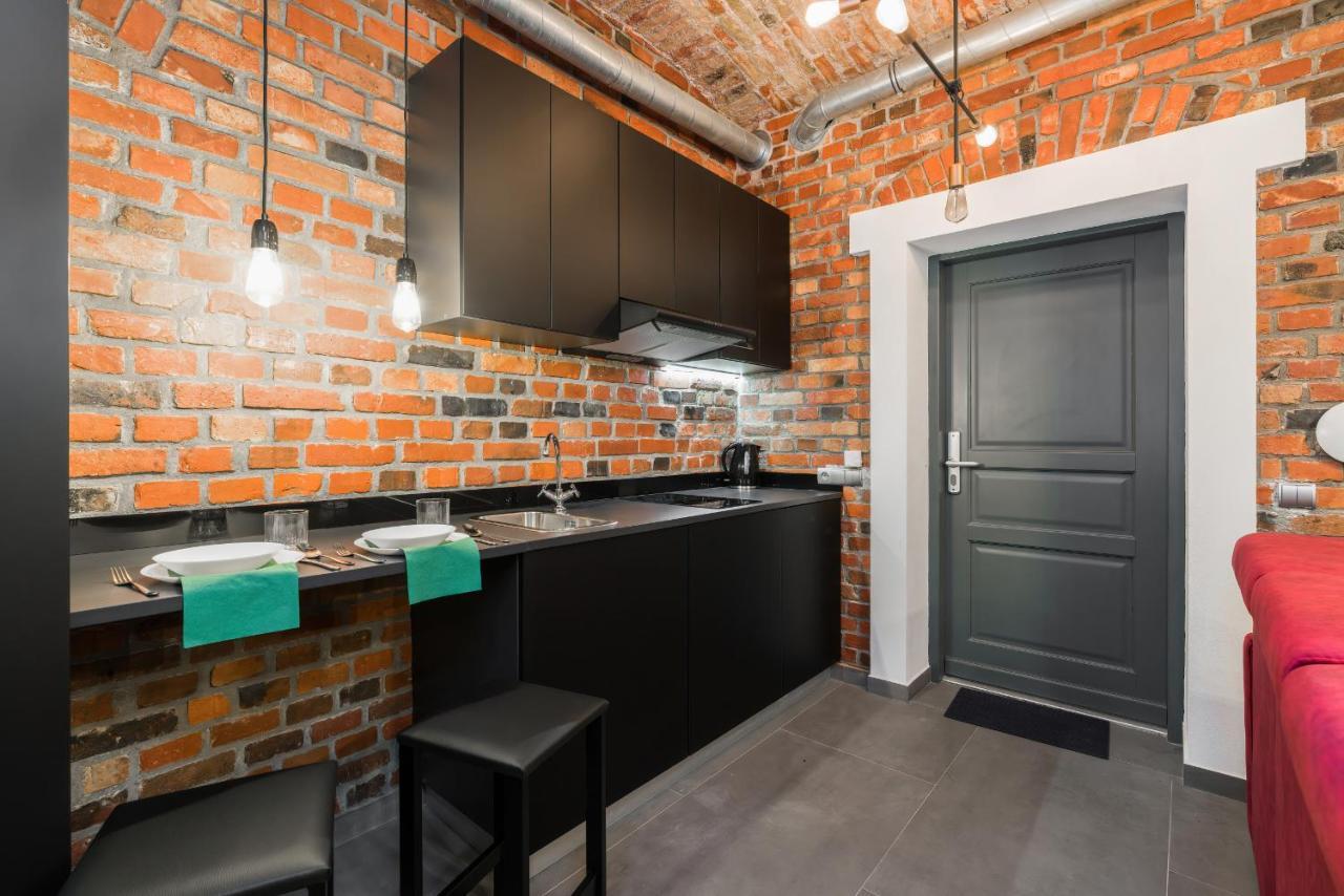 Level -1 Loft Apartments City Center Kopernika Poznaň Exteriér fotografie