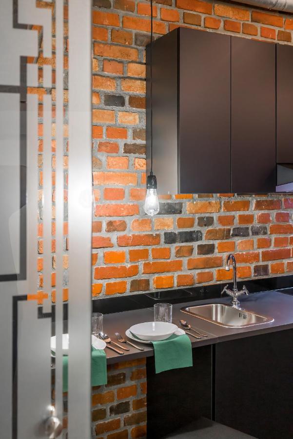 Level -1 Loft Apartments City Center Kopernika Poznaň Exteriér fotografie